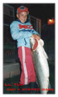A striped bass I reeled out of the Annapolis River