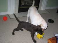 Mine!