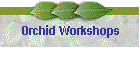 Orchid Workshops