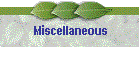 Miscellaneous