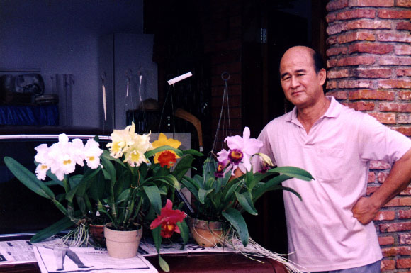 homedisplay.jpg (71881 bytes)
