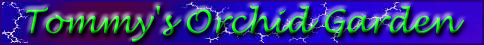 Title-Bar.jpg (27265 bytes)