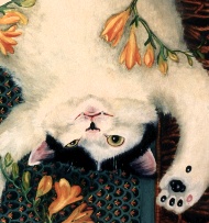 cattmb.JPG (24212 bytes)