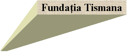 Zone de Texte: Fundaţia Tismana