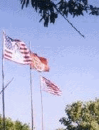 img2.gif