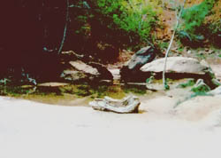 The Middle Pool