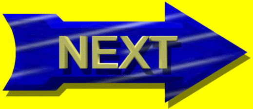 next.gif (34224 bytes)