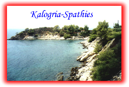 paralia1.jpg (57592 bytes)