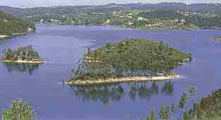 Island in the river