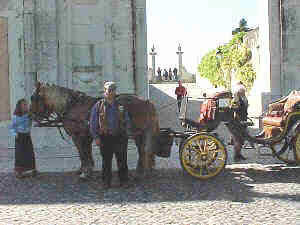 Carriage driver outside palace in Sintra