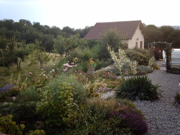 Les Hirondelles