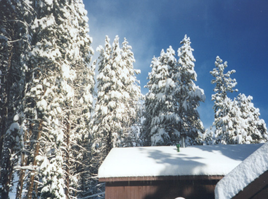 winter
