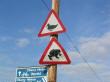 signage