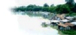 tongtinlogo