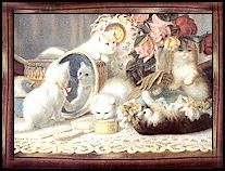 kittenspic