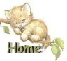 swingbabyhome1