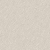 gray texture