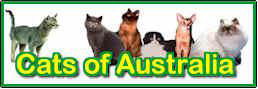 Cats of Australia