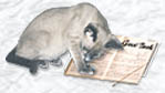 Guestbook