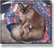 Kataya & Melita
