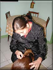 New Mom