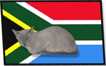 SA Tonk Image