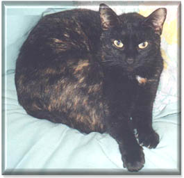 Zoe photo