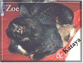 Zoe photo
