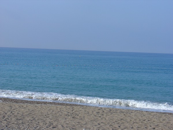 DSC01482.JPG