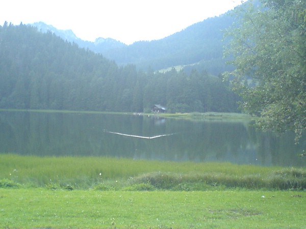 phoneDSC00181.JPG