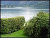 DSC01660.JPG