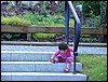 DSC01668.JPG