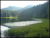 phoneDSC00172.JPG
