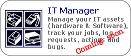 IT Manager