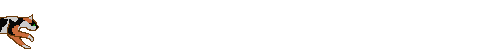 cat4.gif (31243 Ӧ줸)