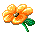 have_a_flower.gif (9114 Ӧ줸)
