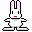 rabbit_0026.gif (812 bytes)