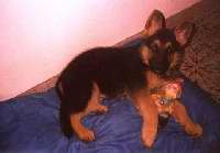 Click to see larger image Hondo 480x334 (14.735 k)