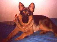 Click to see larger image Hondo 414x303 (16.605 k)