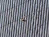 t000d038p020.jpg
