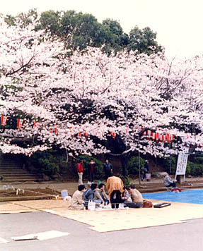 Hanami