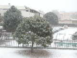 Click to see DSCN1051.JPG