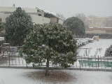 Click to see DSCN1053.JPG