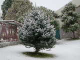 Click to see DSCN1056.JPG