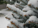 Click to see DSCN1071.JPG