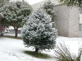 Click to see DSCN1085.JPG
