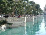 Click to see DSCN1363.JPG
