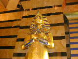 Click to see DSCN1375.JPG