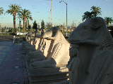 Click to see DSCN1385.JPG