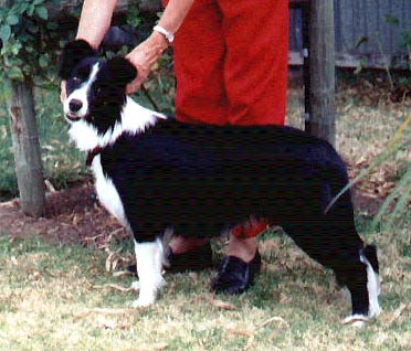 Picture at 7 months